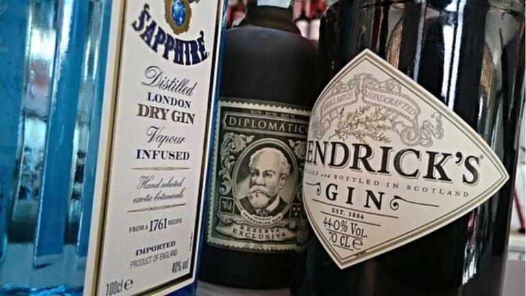 Best Gin Brands in India with Price